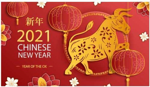 河南盛順凱新型建筑材料有限公司祝大家新年快樂，牛年更比一年牛！